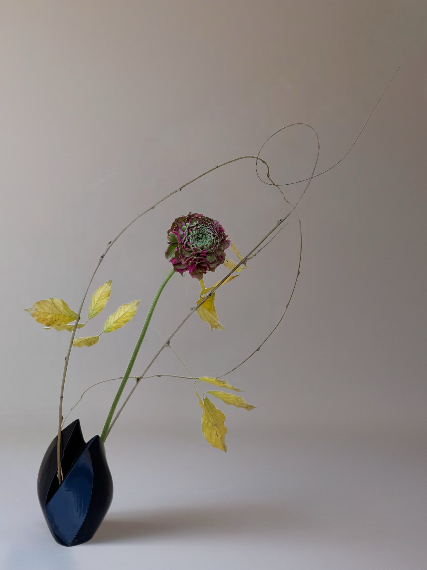 Ikebana arrangement "the drawn line" by arya flowerslab, Macerata
