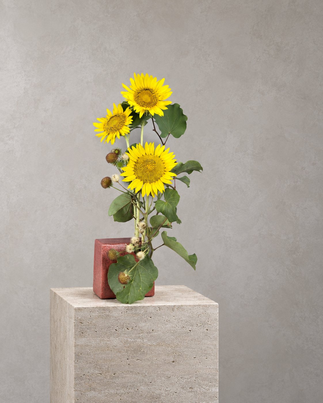 Ikebana arrangement "lesson one" by arya flowerslab, Macerata