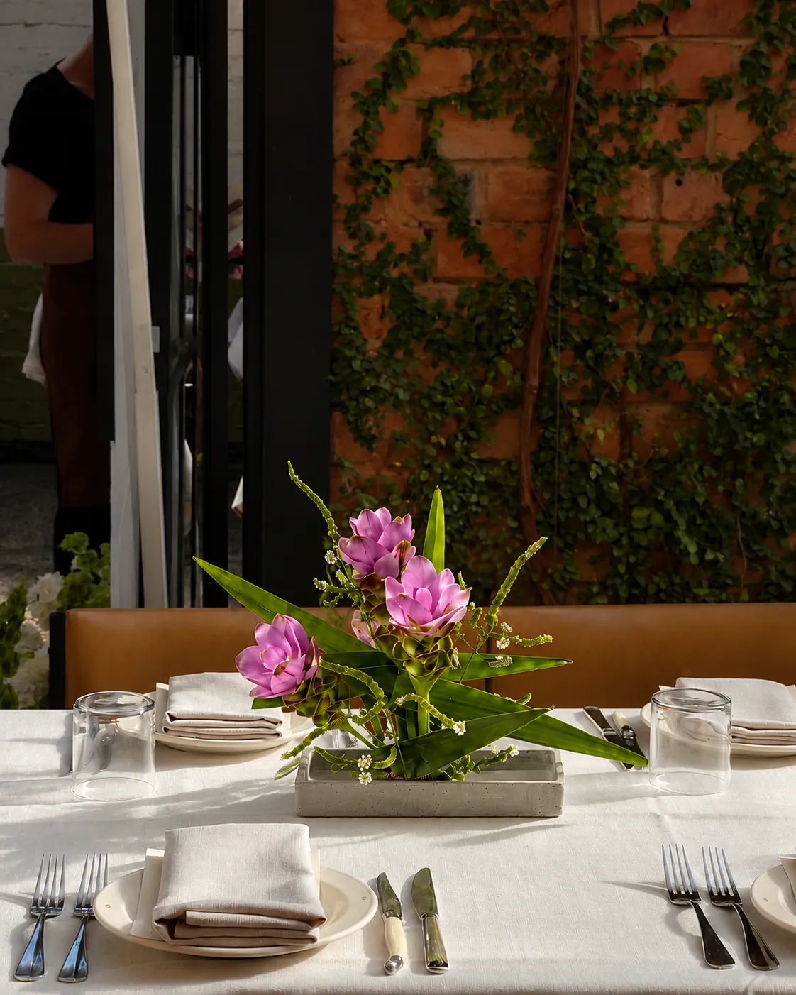 Composition with pink curcuma flowers and green leaves in a concrete tray on a set table in an outdoor courtyard against a brick wall