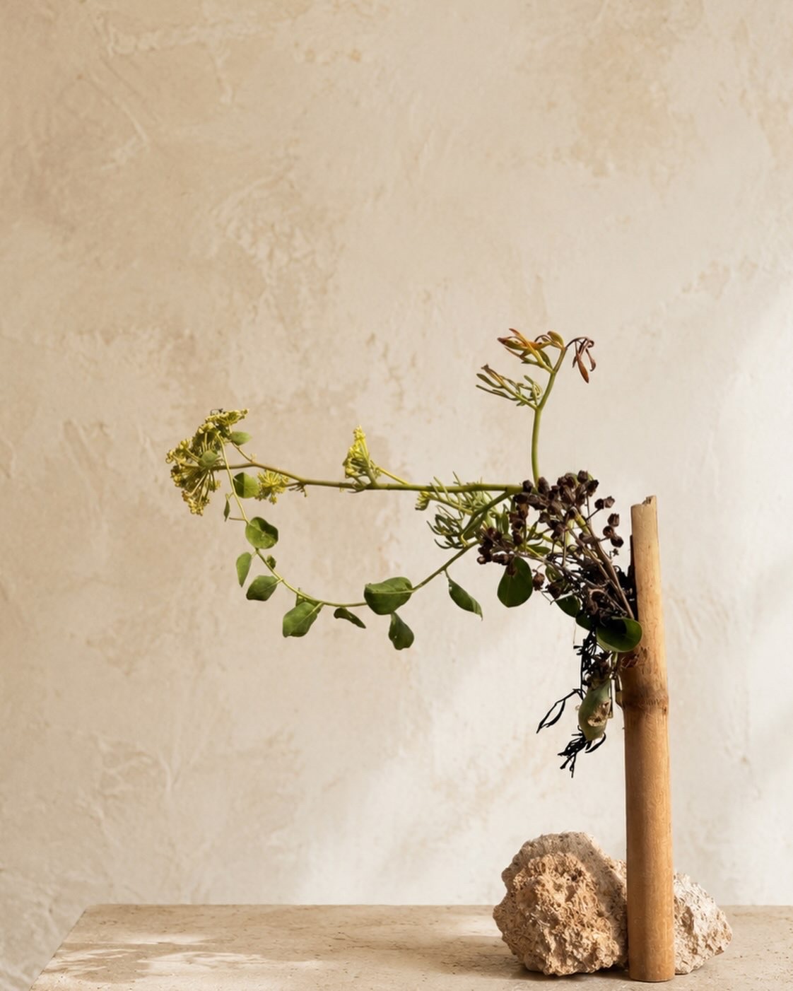 Ikebana arrangement "quiet bloom" by arya flowerslab, Macerata