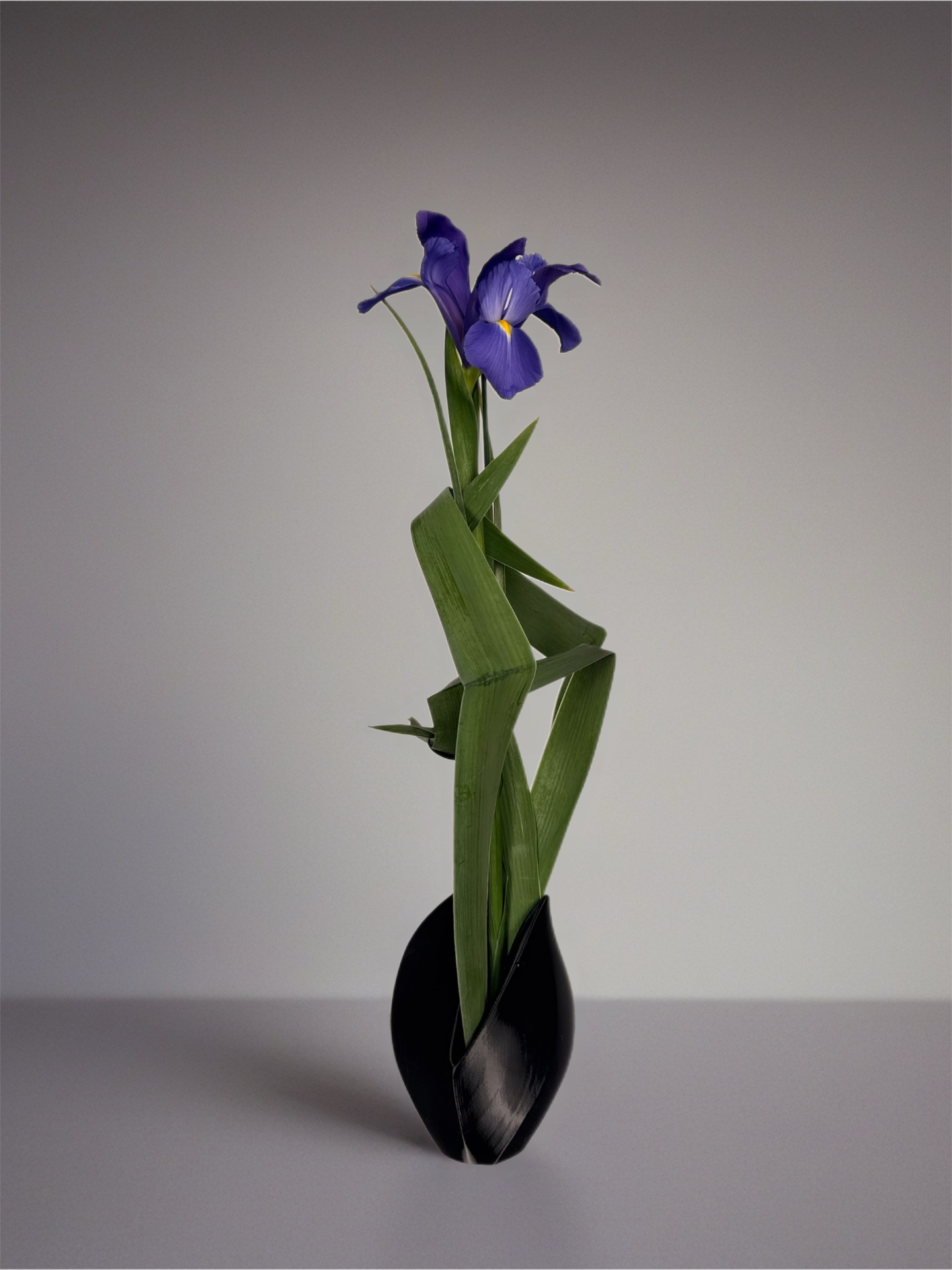 Ikebana arrangement "woven verticals" by arya flowerslab, Macerata