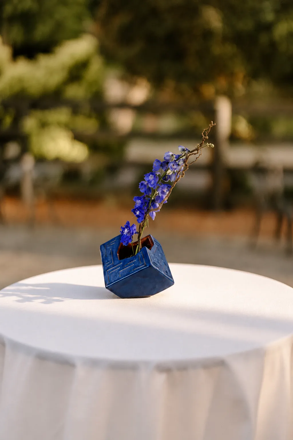 Composition with blue delphinium and a twisted branch in a cubic blue vessel on a white table outdoors