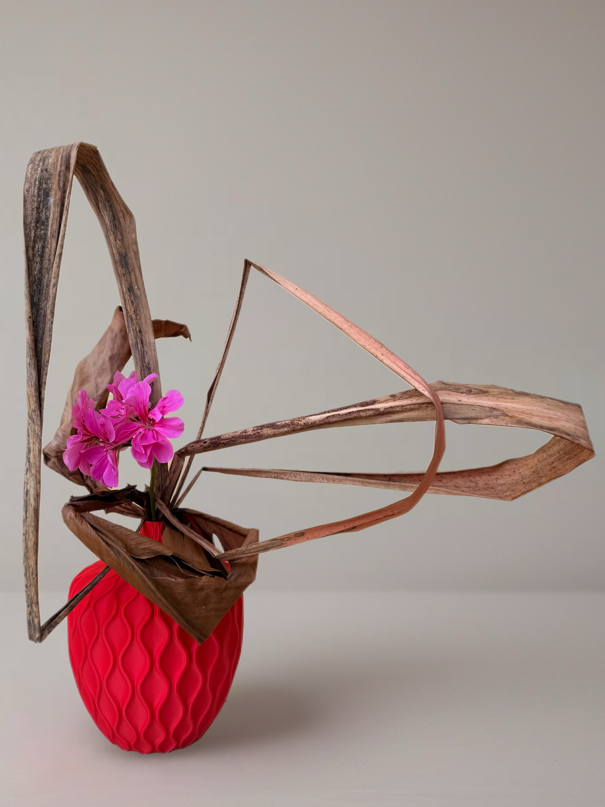 Ikebana arrangement "born from chaos" by arya flowerslab, Macerata