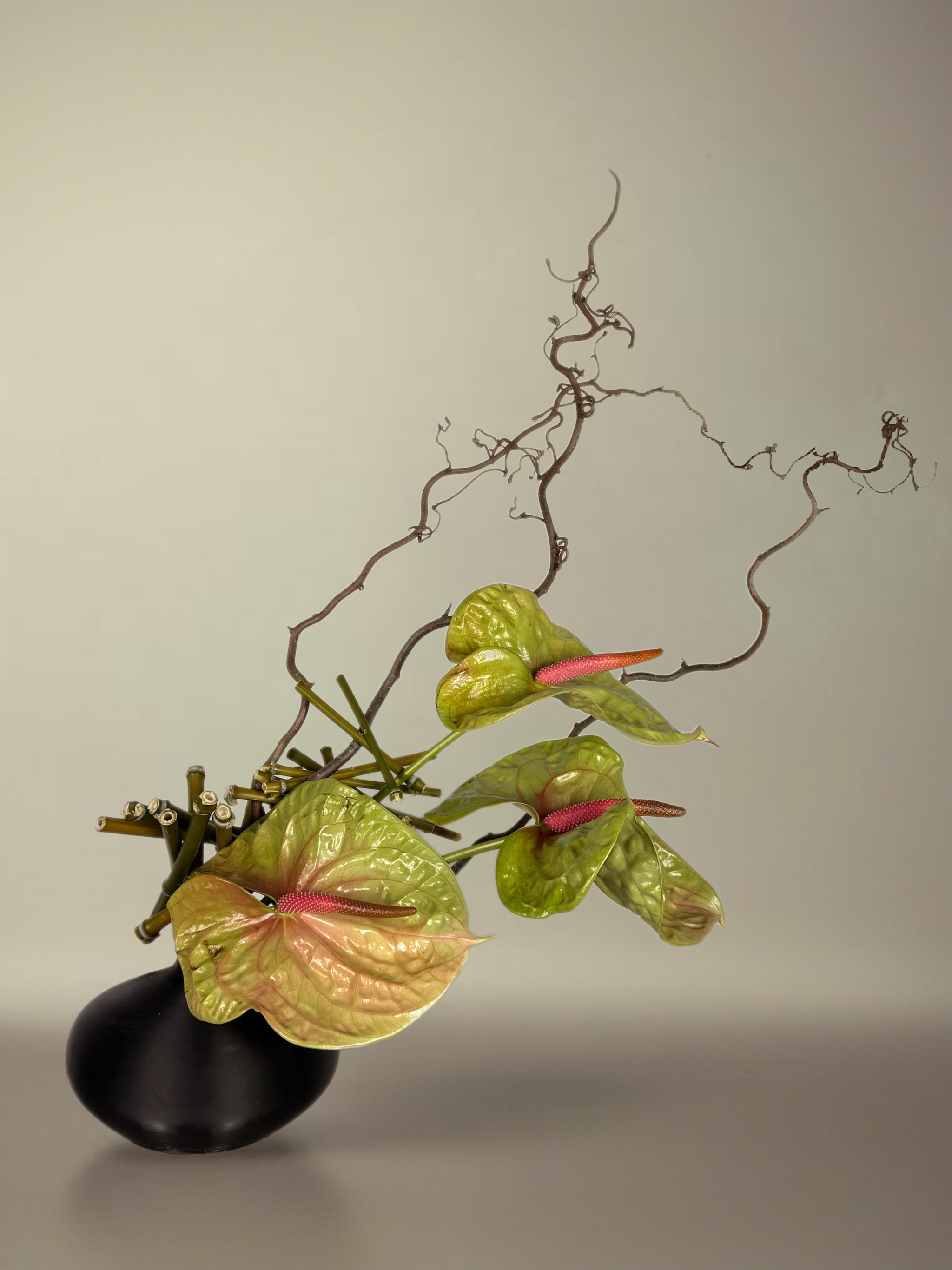 Ikebana arrangement "continuity transformed" by arya flowerslab, Macerata