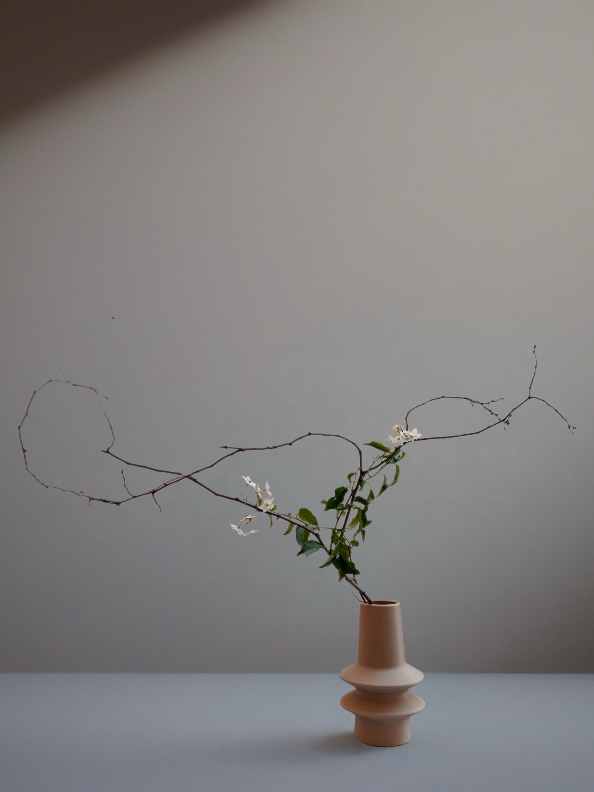 Ikebana arrangement "in praise of shadows" by arya flowerslab, Macerata
