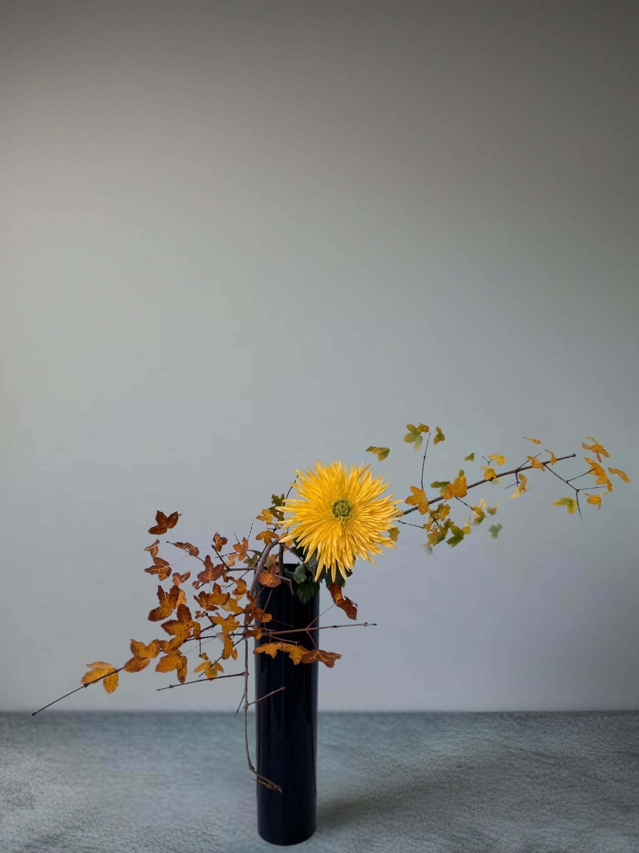 Ikebana arrangement "quiet constellations" by arya flowerslab, Macerata