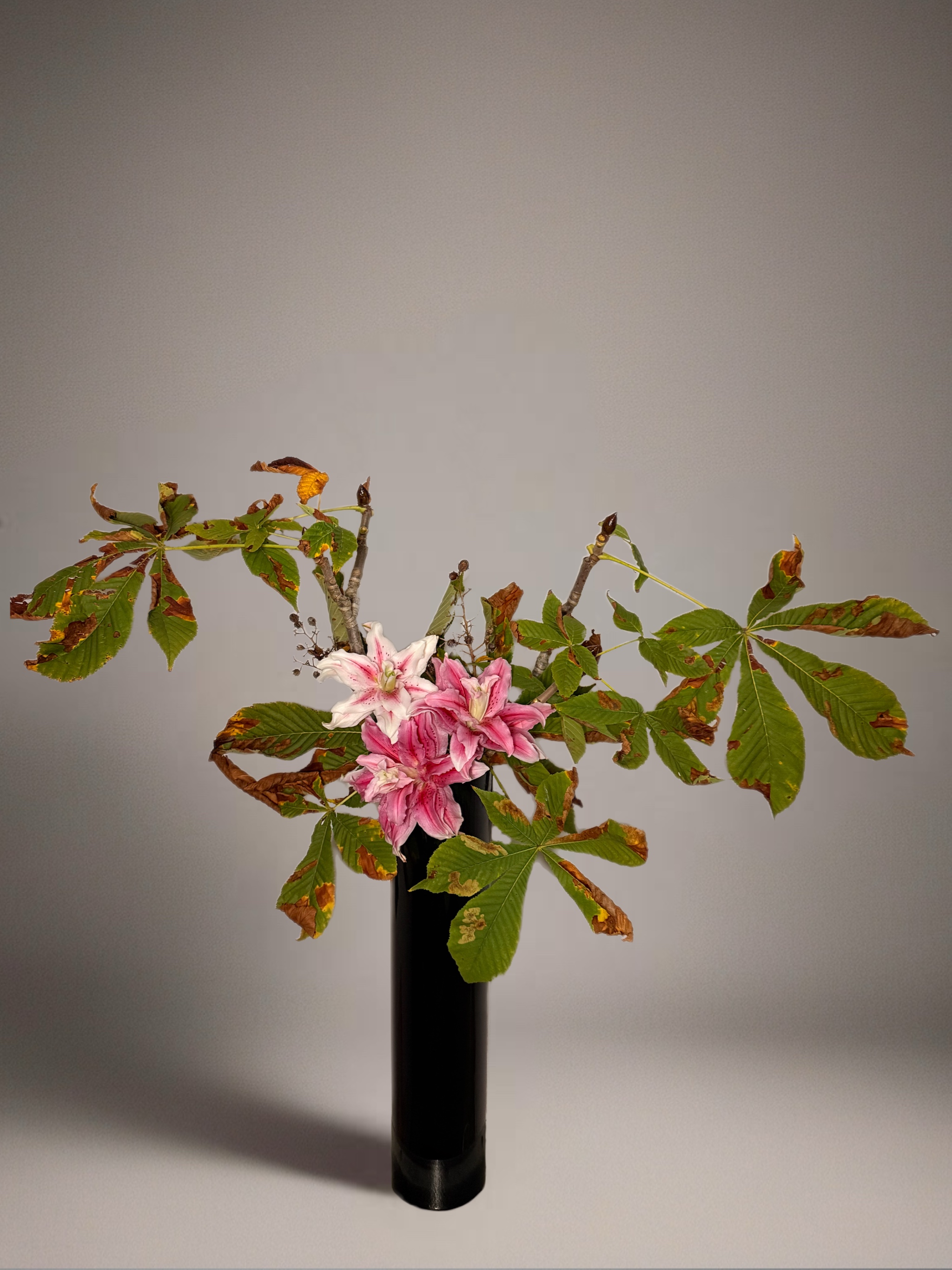 Ikebana arrangement "strokes of light" by arya flowerslab, Macerata