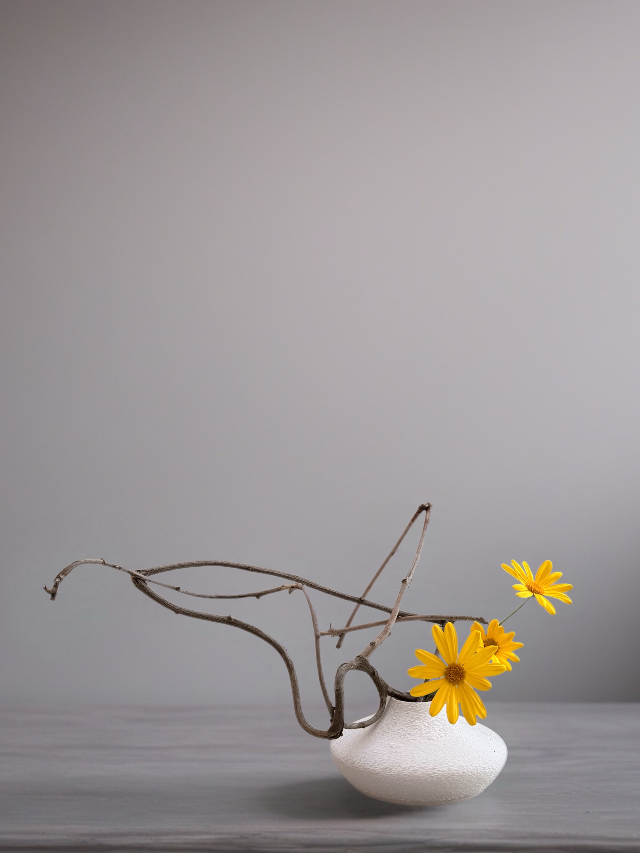 Ikebana arrangement "the dancing star" by arya flowerslab, Macerata