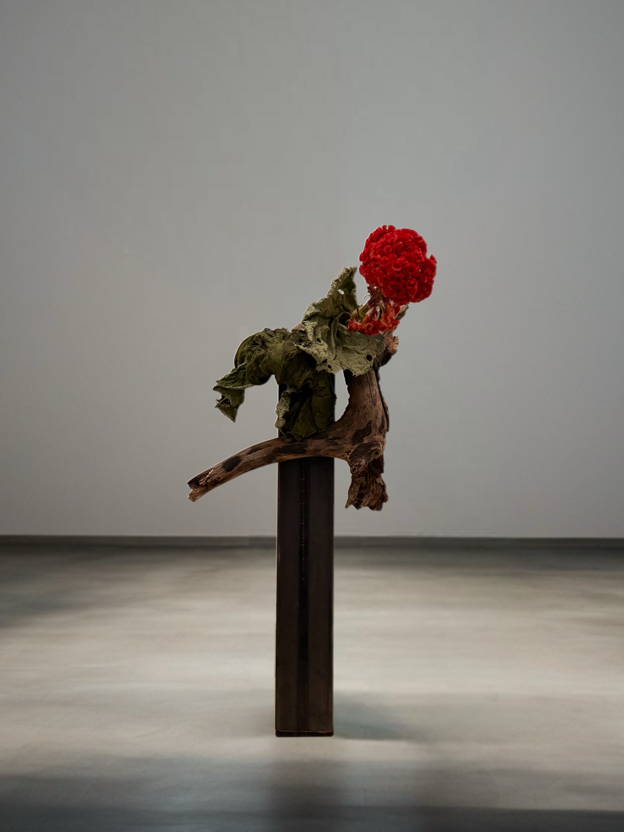 Ikebana arrangement "the finish line" by arya flowerslab, Macerata