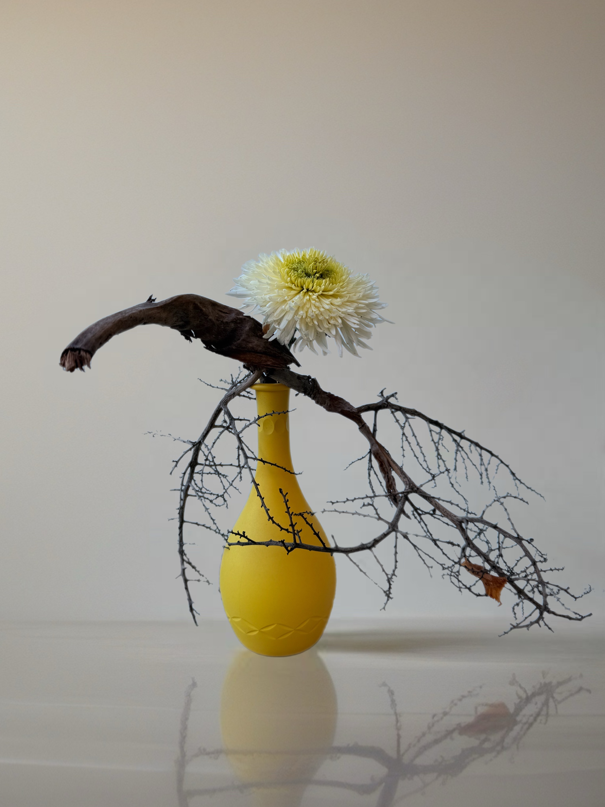 Ikebana arrangement "the flow of becoming" by arya flowerslab, Macerata