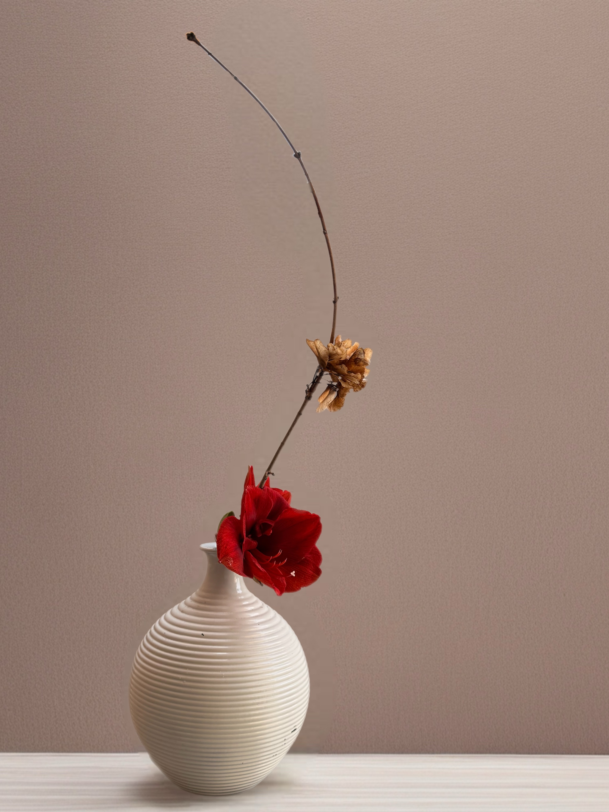 Ikebana arrangement "the pause before becoming" by arya flowerslab, Macerata