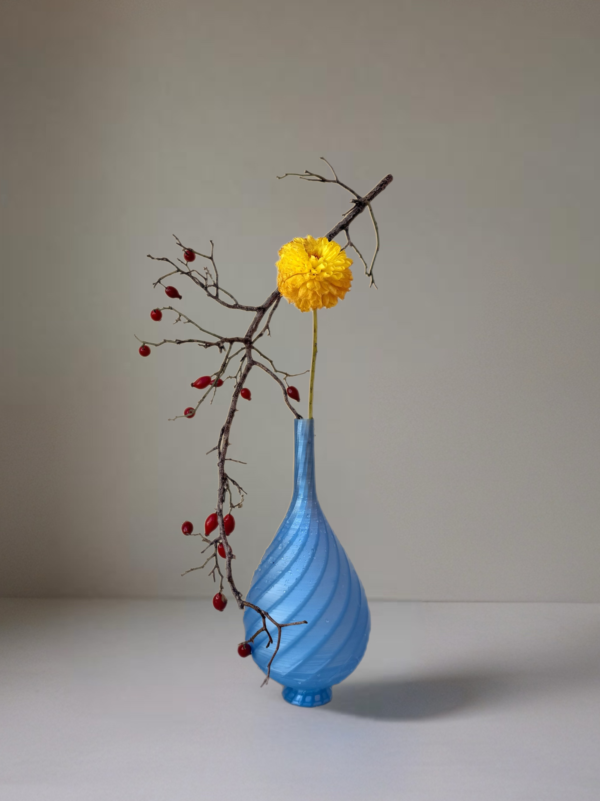 Ikebana arrangement "where resilience meets radiance" by arya flowerslab, Macerata