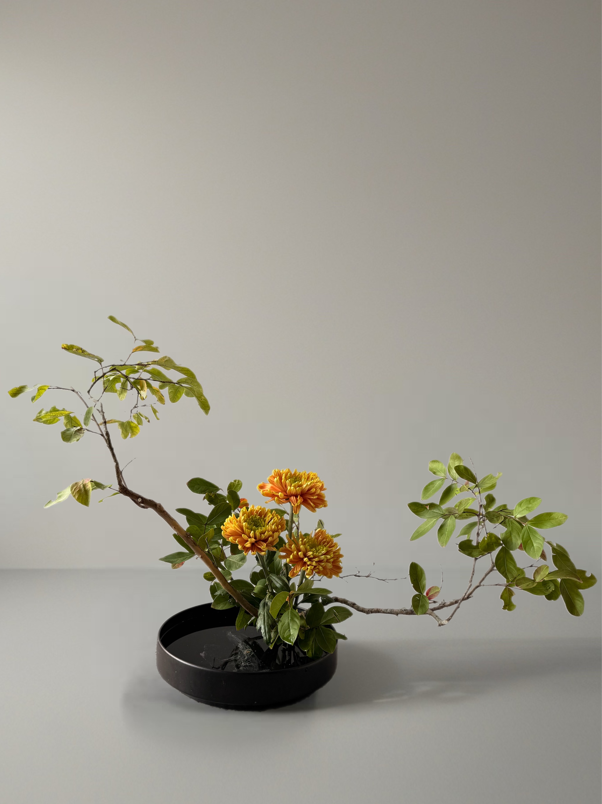 Ikebana arrangement "migration" by arya flowerslab, Macerata
