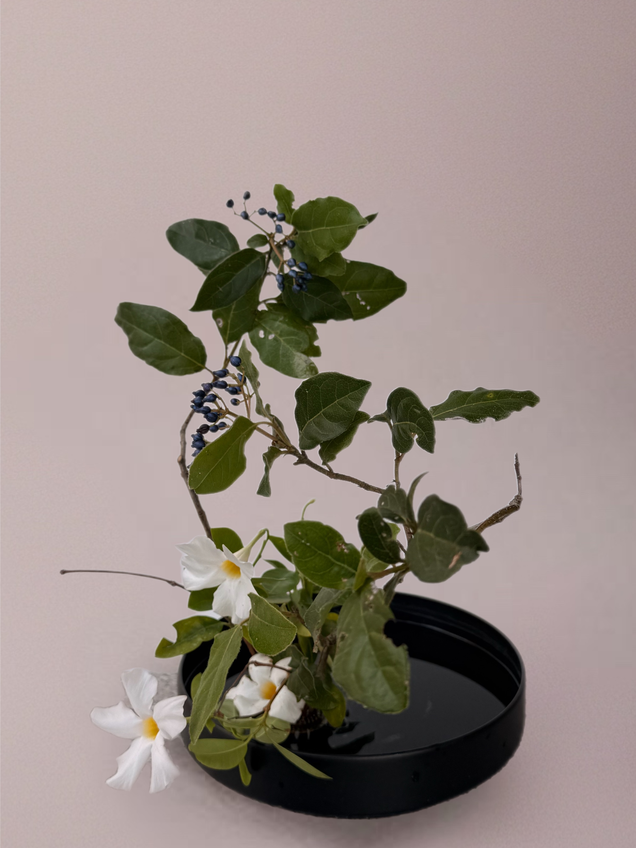 Ikebana arrangement "quiet dance" by arya flowerslab, Macerata