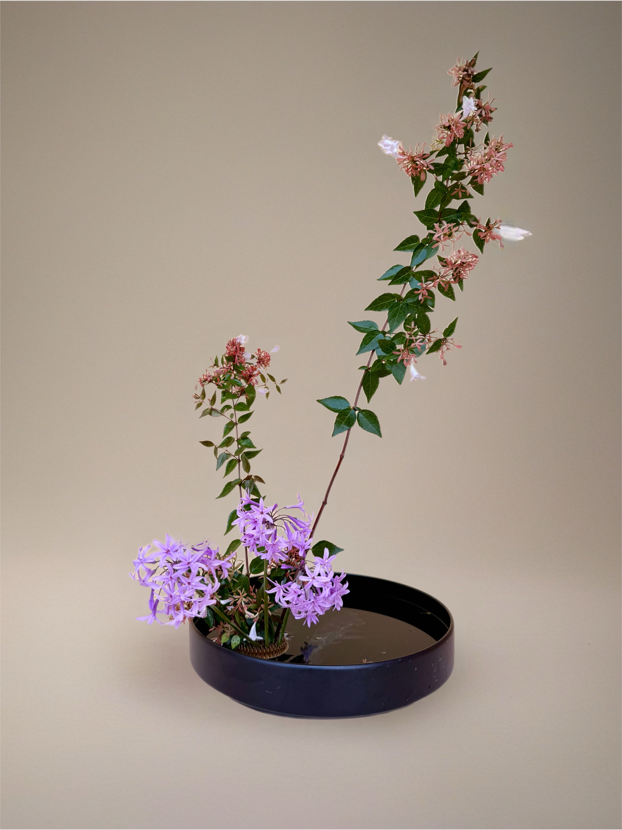 Ikebana arrangement "silent sway" by arya flowerslab, Macerata