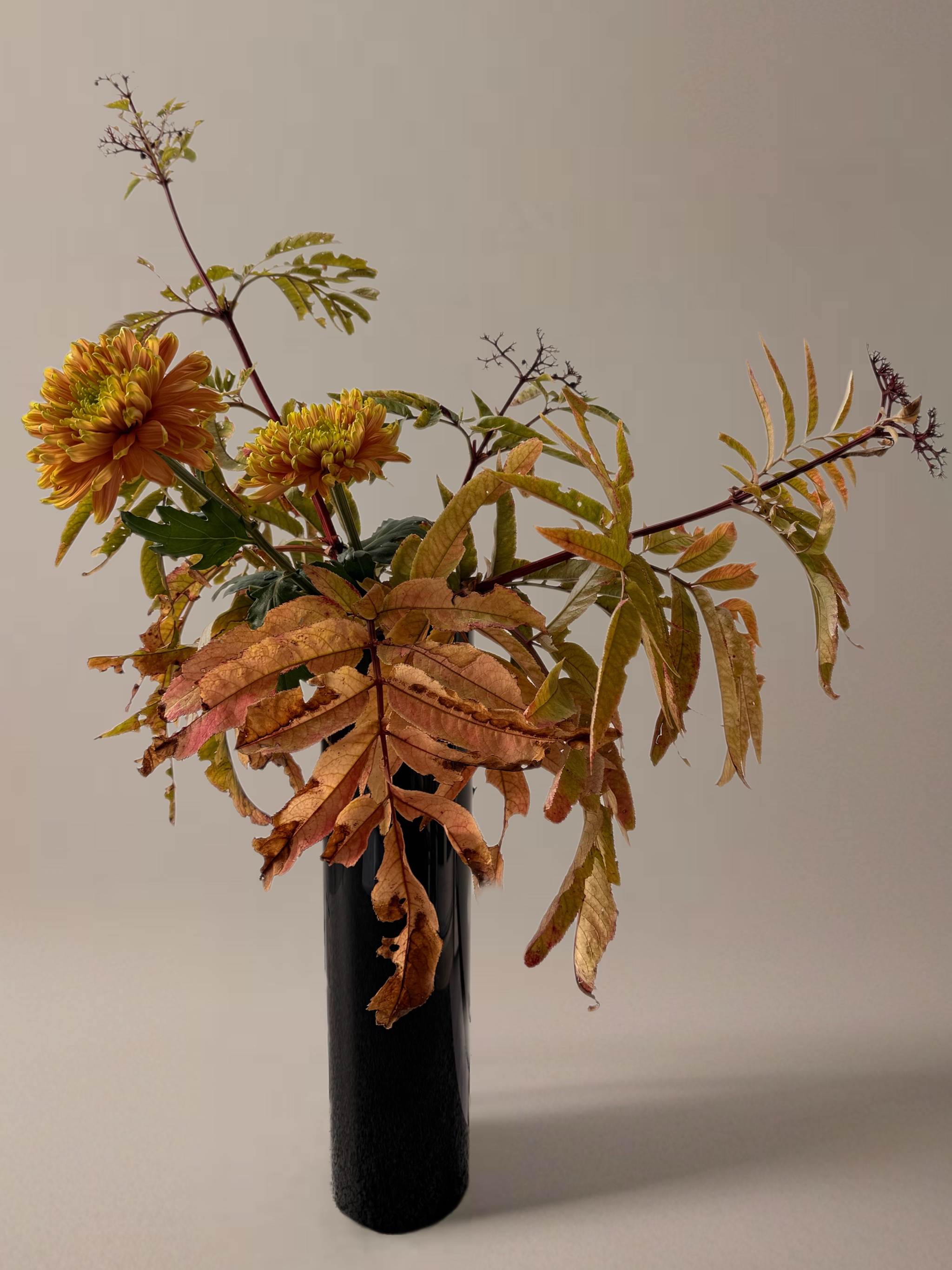 Ikebana arrangement "echoes of change" by arya flowerslab, Macerata