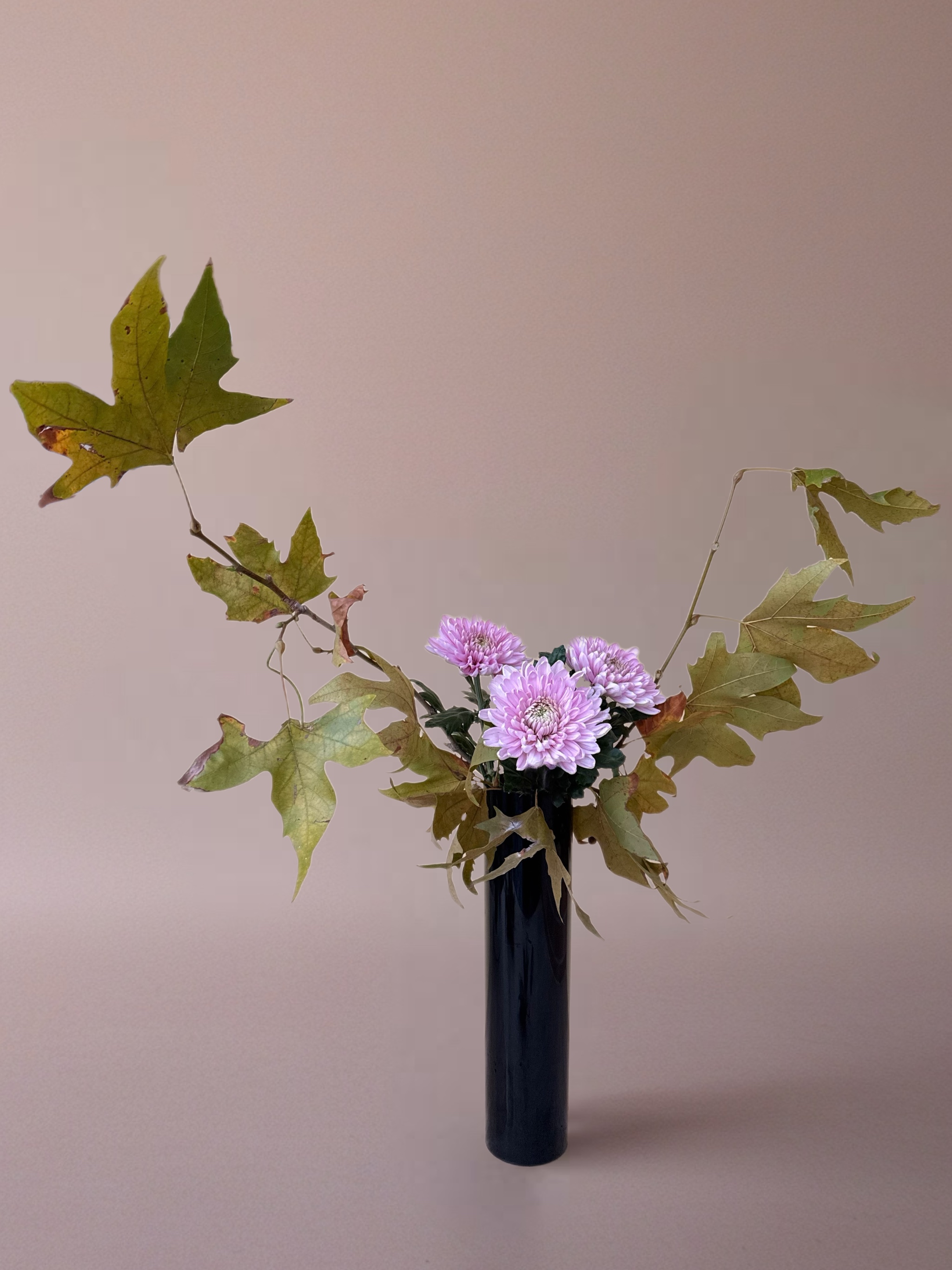 Ikebana arrangement "gentle presence" by arya flowerslab, Macerata